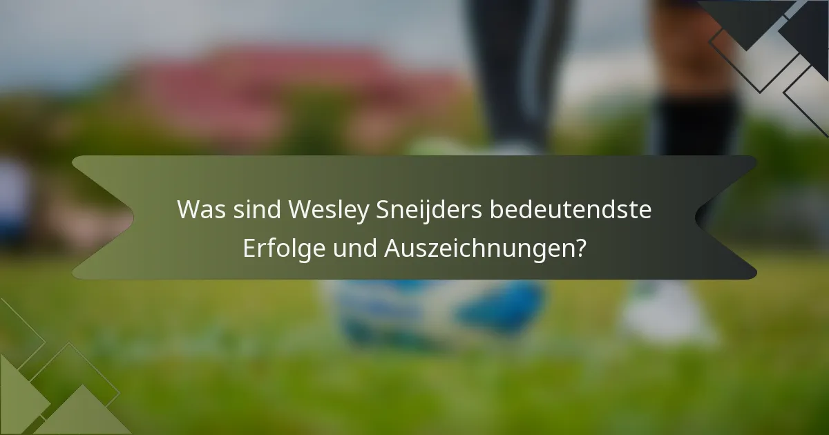 Was sind Wesley Sneijders bedeutendste Erfolge und Auszeichnungen?