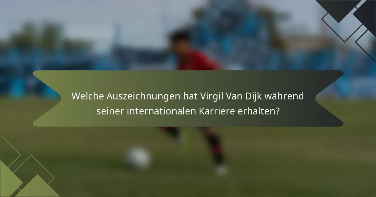 Welche Auszeichnungen hat Virgil Van Dijk während seiner internationalen Karriere erhalten?