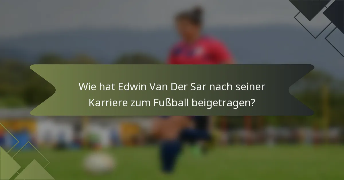 Wie hat Edwin Van Der Sar nach seiner Karriere zum Fußball beigetragen?