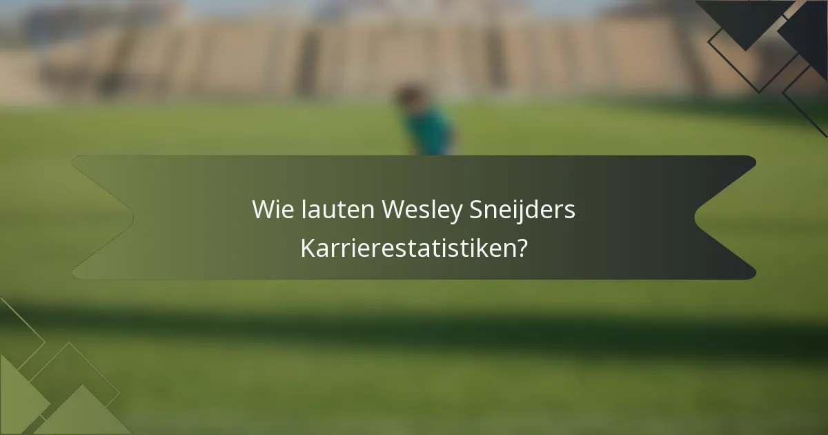 Wie lauten Wesley Sneijders Karrierestatistiken?