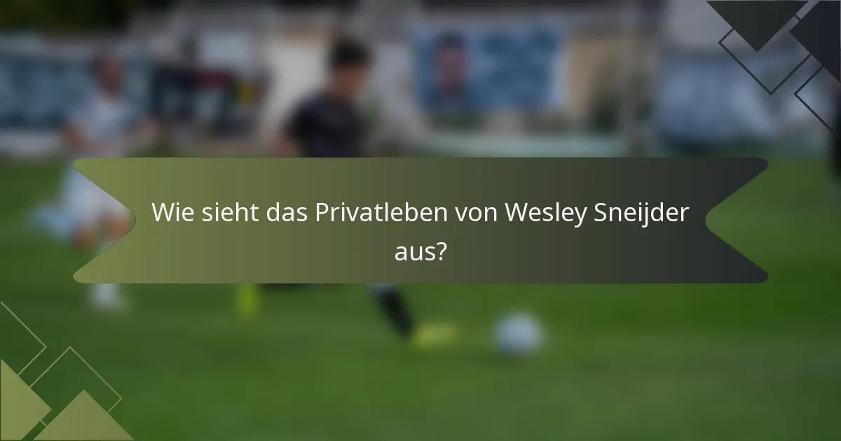 Wie sieht das Privatleben von Wesley Sneijder aus?